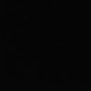 Meet your Posher, Arianna